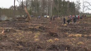 Лидчане поддержали республиканскую акцию «Неделя леса»