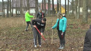 Лидская молодежь в субботу занималась посадкой деревьев в парке «Горни»