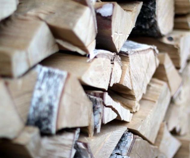 В Минлесхозе отмечают отсутствие ажиотажного спроса на дрова со стороны населения - SB.BY