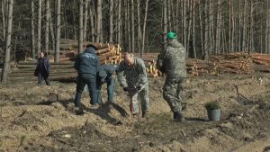 К добровольной акции «Неделя леса» на Лидчине присоединились почти 500 человек
