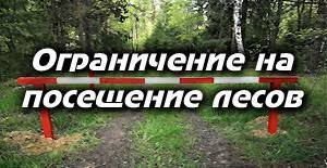 Ограничение на посещение лесов с 22.03