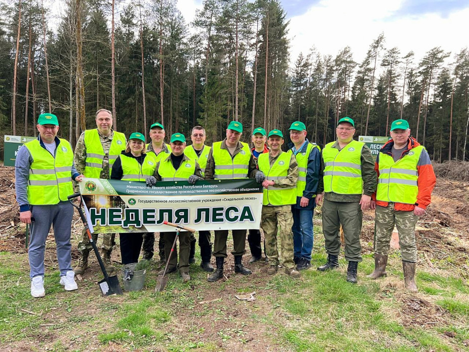 Руководители Гродненского облисполкома и областного Совета депутатов присоединились к республиканской акции «Неделя леса»