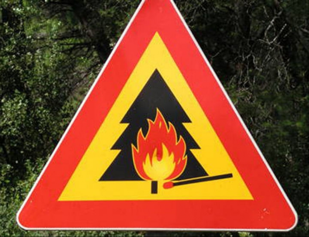 В Лидском лесхозе с 30 мая введен запрет на посещение лесов. Установлен IV класс пожарной опасности.